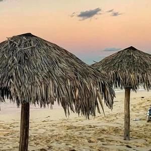 Meet your Posher, Tracy n pat